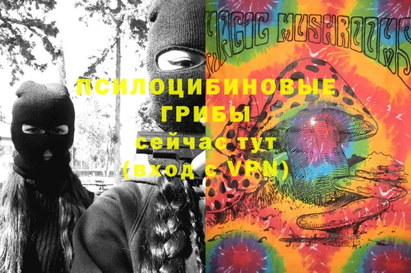 гашик Алексеевка