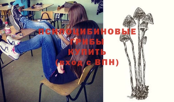 МДПВ Алзамай