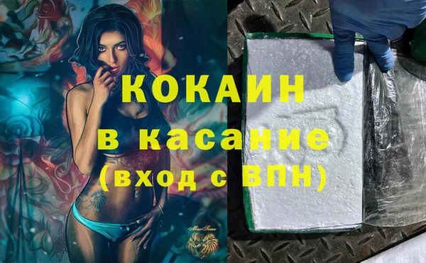 гашик Алексеевка